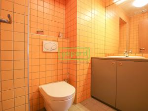 Pronájem kanceláře, Brno, Zelný trh, 55 m2