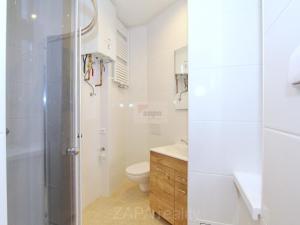 Pronájem bytu 2+kk, Praha - Smíchov, Grafická, 42 m2