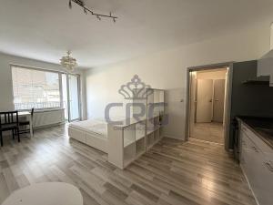 Pronájem bytu 1+kk, Moravany, Višňová, 30 m2