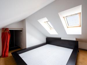 Pronájem bytu 3+kk, Pardubice - Bílé Předměstí, Husova, 79 m2