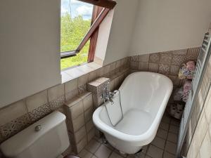 Prodej bytu 4+1, Karlovy Vary - Stará Role, Rybářská, 111 m2