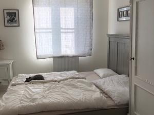 Prodej bytu 4+kk, Lázně Kynžvart, Luční, 75 m2