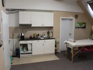 Pronájem obchodního prostoru, Prostějov, Wolkerova, 41 m2
