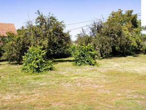 Prodej vícegeneračního domu, Hrušovany nad Jevišovkou, Drnholecká, 195 m2