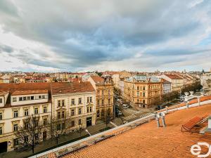 Pronájem bytu 4+kk, Brno - Veveří, Veveří, 133 m2