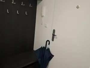 Pronájem bytu 1+kk, Brno, třída Generála Píky, 32 m2