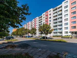 Prodej bytu 3+1, Vysoké Mýto, Ležáků, 75 m2