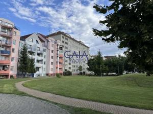 Pronájem bytu 3+1, Hodonín, Šafaříkova, 75 m2