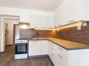 Pronájem bytu 1+1, Děčín, Riegrova, 35 m2