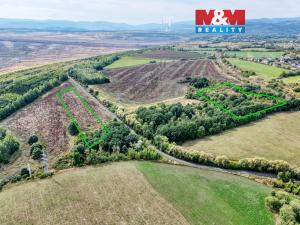 Prodej lesa, Spořice, 17656 m2