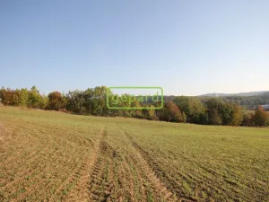 Prodej pozemku pro bydlení, Mokrá-Horákov - Horákov, 3885 m2