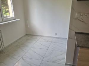 Pronájem bytu 2+1, Děčín - Děčín VI-Letná, 70 m2