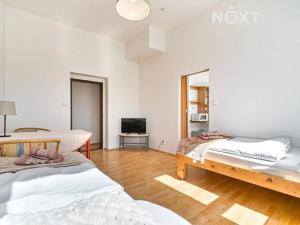 Pronájem bytu 1+1, Orlová, Těšínská, 34 m2