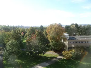 Pronájem bytu 2+1, Brno, Loosova, 56 m2