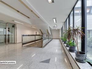 Pronájem kanceláře, Praha - Libeň, Sokolovská, 66 m2