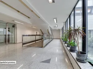 Pronájem kanceláře, Praha - Libeň, Sokolovská, 33 m2