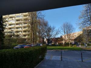 Pronájem bytu 2+1, Teplice, Alejní, 50 m2