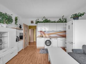 Prodej bytu 2+kk, Liberec, Haškova, 42 m2