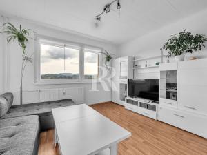 Prodej bytu 2+kk, Liberec, Haškova, 42 m2