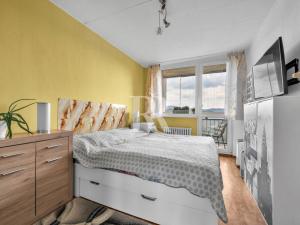 Prodej bytu 2+kk, Liberec, Haškova, 42 m2