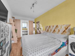Prodej bytu 2+kk, Liberec, Haškova, 42 m2