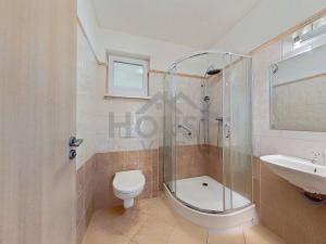 Prodej vícegeneračního domu, Světice, 207 m2