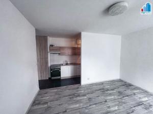 Pronájem bytu 1+1, Tlučná, Boženy Němcové, 47 m2