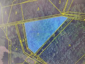 Prodej lesa, Rasošky, 5127 m2