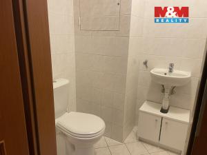 Pronájem bytu 3+kk, Benešov, Pod Lihovarem, 63 m2