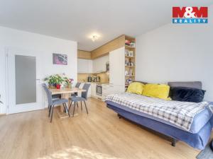 Prodej bytu 2+kk, Plzeň - Jižní Předměstí, Inženýrská, 54 m2