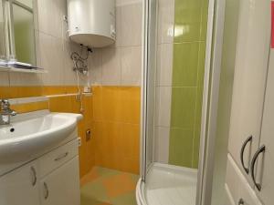 Pronájem bytu 4+1, Opava, Kolářská, 77 m2