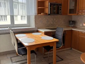 Pronájem bytu 4+1, Brno, Vinařská, 125 m2