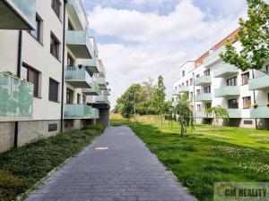 Pronájem bytu 2+kk, Olomouc - Nová Ulice, Třída Jiřího Pelikána, 63 m2