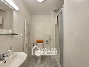 Prodej bytu 1+kk, Ostružná - Ramzová, 36 m2