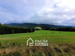 Prodej bytu 1+kk, Ostružná - Ramzová, 36 m2