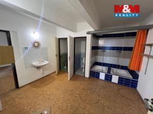 Pronájem skladu, Brno - Zábrdovice, Radlas, 480 m2