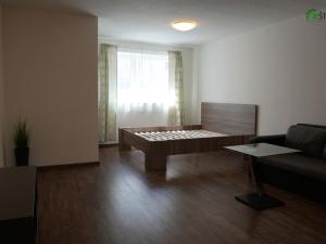 Pronájem bytu 1+kk, Třebíč - Horka-Domky, Bráfova tř., 53 m2