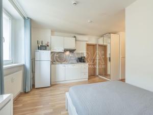 Pronájem bytu 1+kk, Praha - Smíchov, Radlická, 26 m2