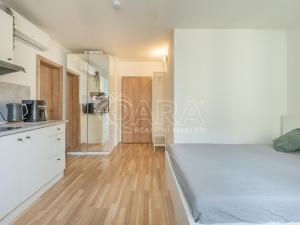 Pronájem bytu 1+kk, Praha - Smíchov, Radlická, 26 m2
