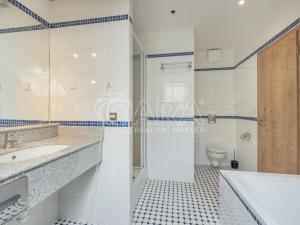 Pronájem bytu 1+kk, Praha - Smíchov, Radlická, 26 m2
