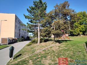 Prodej bytu 1+kk, Znojmo, Družstevní, 29 m2