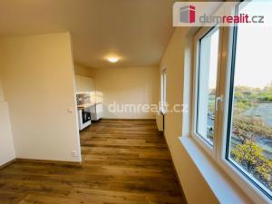 Pronájem bytu 1+kk, Praha - Nusle, U Svépomoci, 30 m2