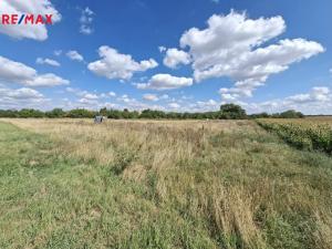 Prodej komerčního pozemku, Kuchařovice, 9212 m2