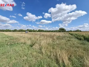 Prodej komerčního pozemku, Kuchařovice, 9212 m2