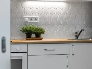 Prodej bytu 2+kk, Praha - Žižkov, Hartigova, 49 m2