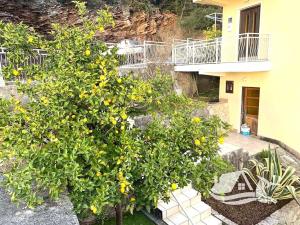 Prodej rodinného domu, Zelenika, Černá Hora, 164 m2