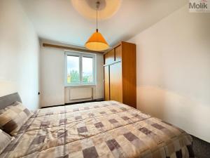 Pronájem bytu 2+1, Duchcov, Družby, 49 m2