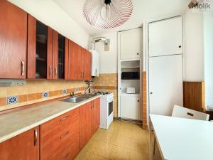 Pronájem bytu 2+1, Duchcov, Družby, 49 m2