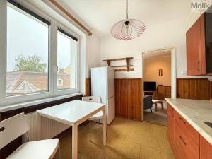 Pronájem bytu 2+1, Duchcov, Družby, 49 m2
