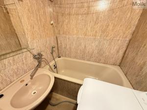 Pronájem bytu 2+1, Duchcov, Družby, 49 m2